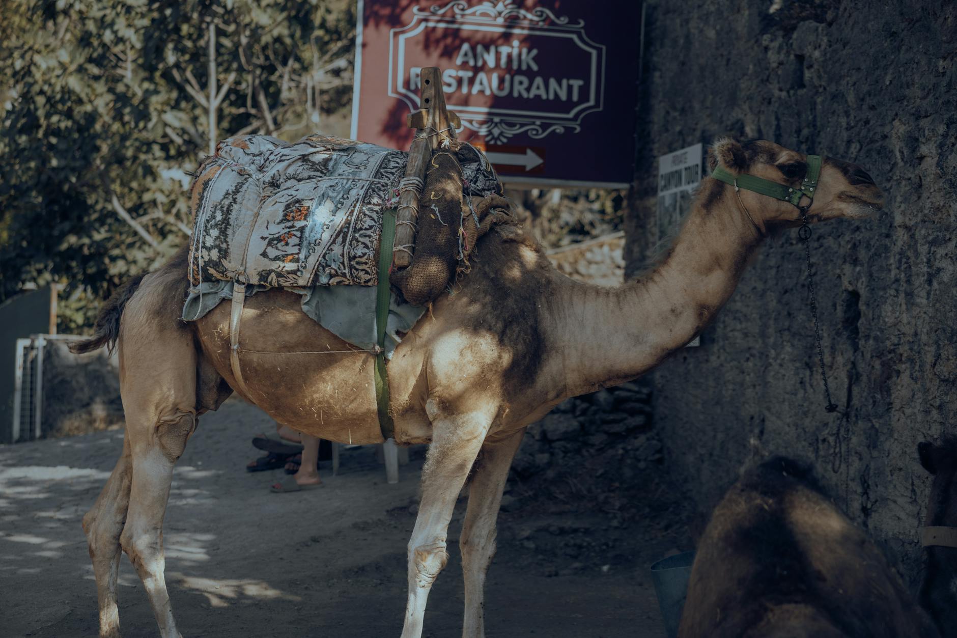 Keşfedilmesi Gereken Antik Kentler